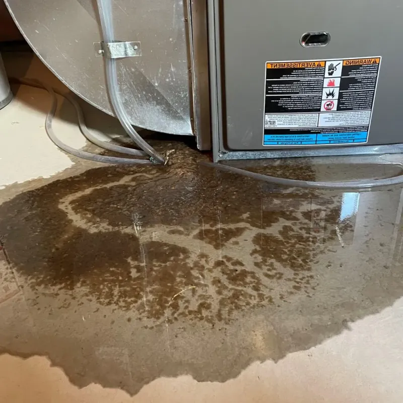 Pipe Burst and Leak Restoration in Paloma Creek South, TX